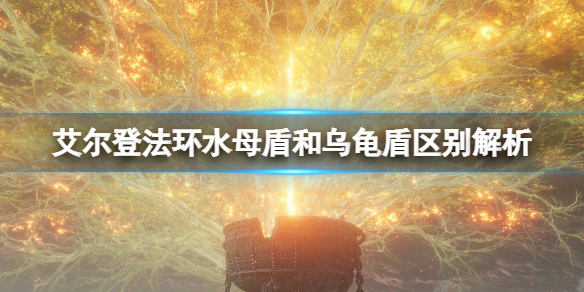 艾尔登法环水母盾和乌龟盾哪个好用（龙龟w算护盾吗）