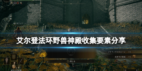 艾尔登法环野兽神殿收集要素分享（魔兽世界荒野神像任务）