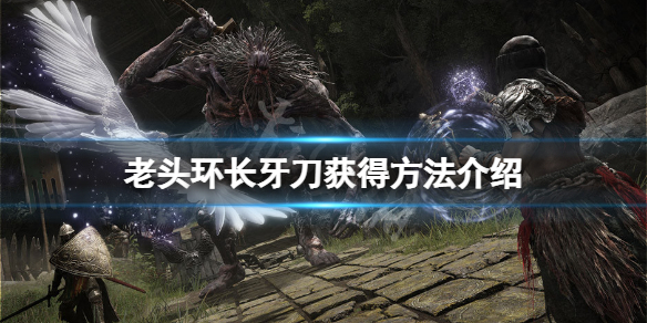 艾尔登法环长牙怎么获得（艾尔登法环攻略）