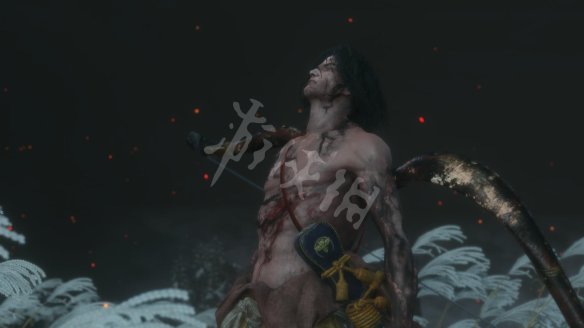 只狼影逝二度图文攻略 全BOSS打法+剧情流程+全义手技能_网