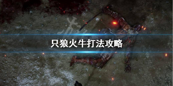 只狼火牛怎么打（只狼火牛怎么打贴吧）