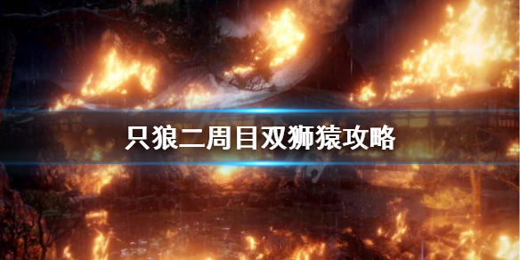 只狼二周目双狮猿怎么打（只狼一周目狮子猿怎么打）