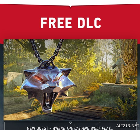 《巫师3：狂猎》DLC13任务在哪接（巫师三dlc任务在哪里接）