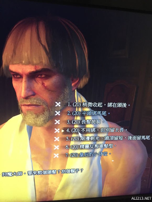 《巫师3：狂猎》白狼帅气发型一览 《巫师3:狂猎》白狼帅气发型一览