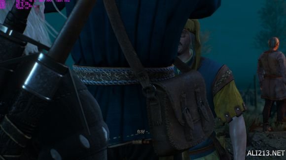 《巫师3：狂猎》商人分身bug一览 《巫师3:狂猎》商人分身bug一览表