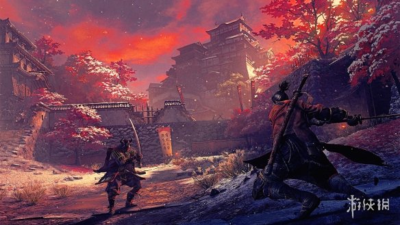 只狼影逝二度全支线任务攻略（只狼 影逝二度任务攻略）