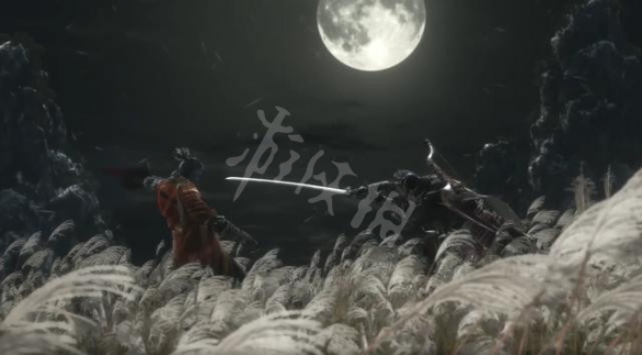 只狼白金攻略 只狼白金攻略流程图文