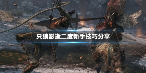 只狼影逝二度新手技巧分享 只狼影逝二度新手打法技巧