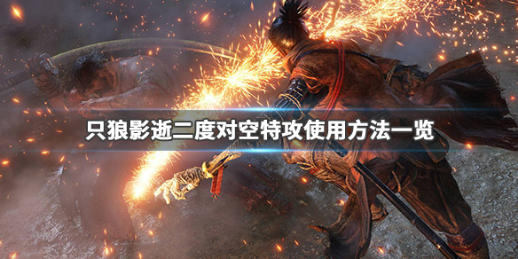 只狼影逝二度对空特攻是什么（只狼 影逝二度特典是什么）