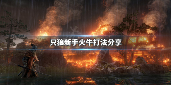 只狼影逝二度新手火牛怎么打（只狼影逝二度新手入门攻略）