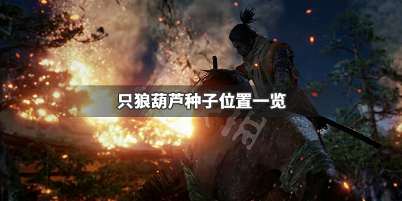 只狼影逝二度最后一个葫芦种子在哪（只狼 影逝二度铃铛在哪）