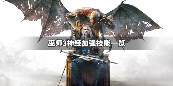 巫师3神经加强是什么 巫师3神经加强是什么装备