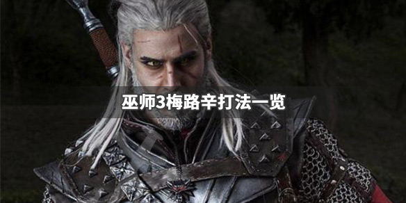 巫师3梅路辛怎么打 巫师3 法师怎么打