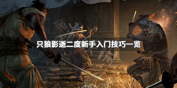 只狼影逝二度新手怎么入门（只狼 影逝二度新手教学）