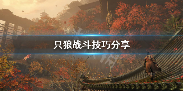 只狼影逝二度弹反怎么用 只狼 影逝二度操作技巧