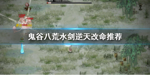 鬼谷八荒水剑逆天改命选什么 鬼谷八荒水剑逆天改命选什么好
