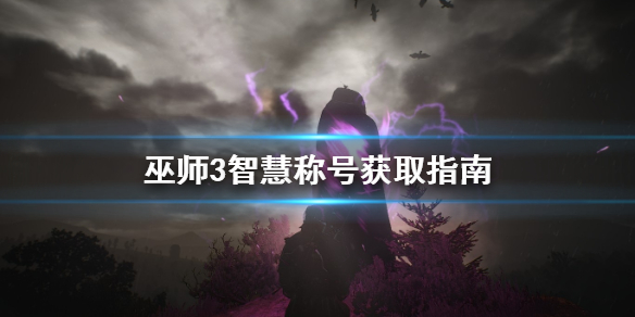 巫师3智慧称号怎么获得（巫师3智慧任务有哪些）