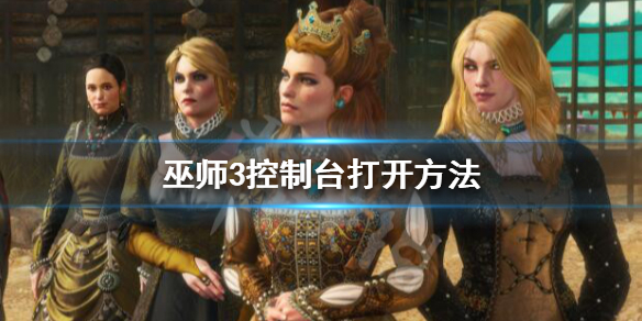 巫师3控制台代码怎么输入（巫师3控制台代码怎么输入大写字母）