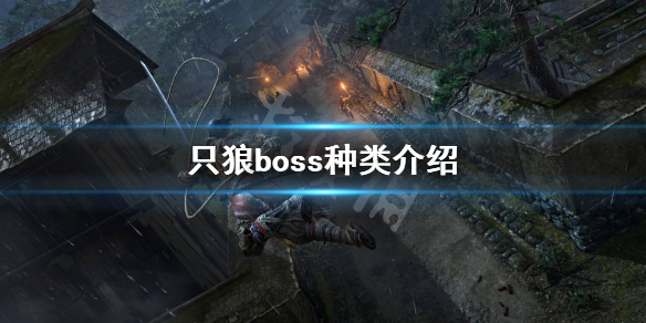 只狼boss种类有哪些 只狼各种boss