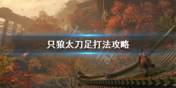 只狼太刀之足怎么打（只狼 太足刀）