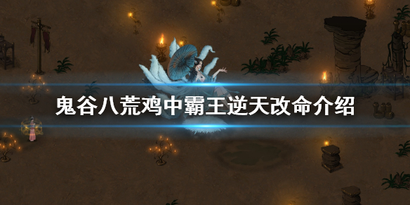 鬼谷八荒鸡中霸王有什么用（鬼谷八荒鸡中霸王有什么用处）