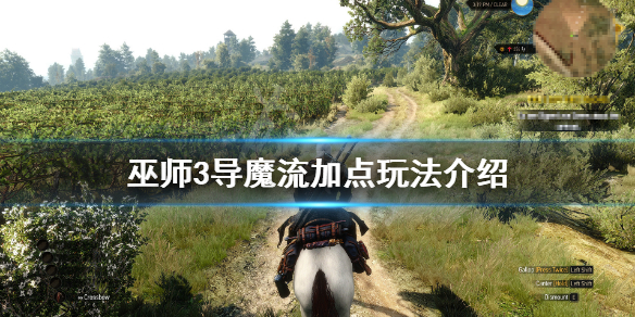 巫师3导魔流怎么玩 巫师3魔法流怎么玩