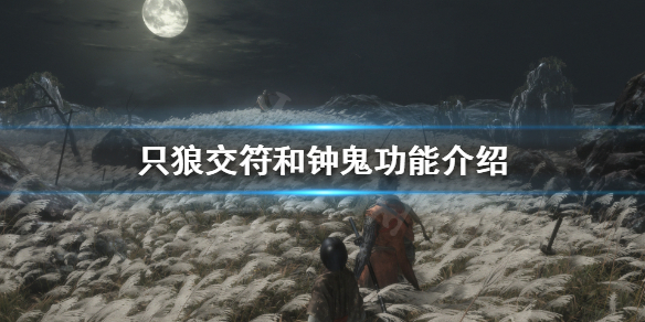 只狼双难是什么（只狼双难是什么意思）