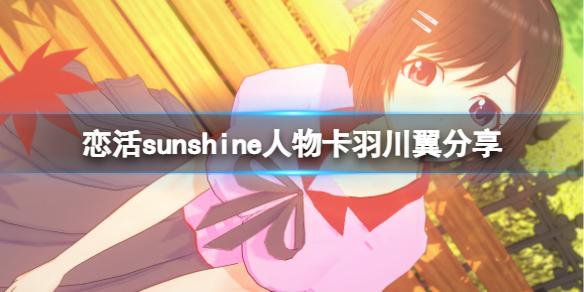 恋活sunshine人物卡羽川翼分享（恋活sunshine 人物卡）