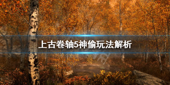 上古卷轴5神偷流怎么玩（上古卷轴5偷窃技能怎么练）