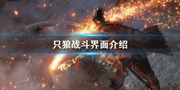 只狼怎么看躯干值 只狼躯干值是什么意思