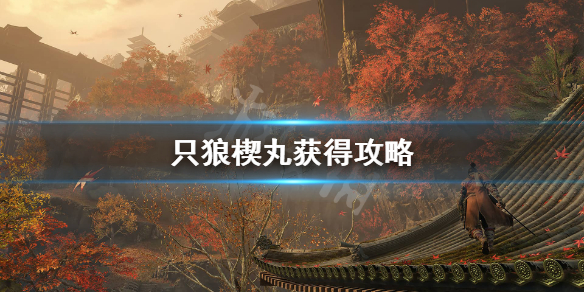 只狼楔丸怎么拿（只狼锲丸在哪）