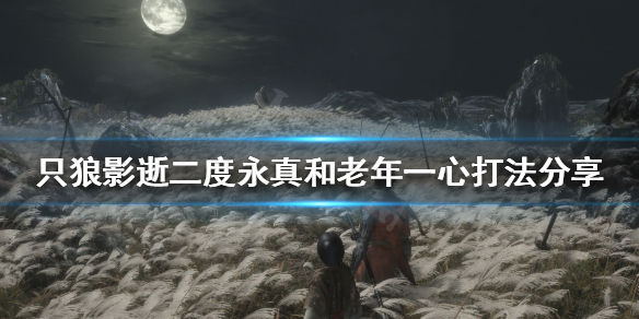 只狼影逝二度永真和老年一心怎么打 只狼影逝二度一心大人怎么走