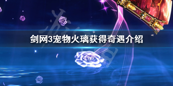 剑网3宠物火璃如何获得（剑网3宠物怎么获得）