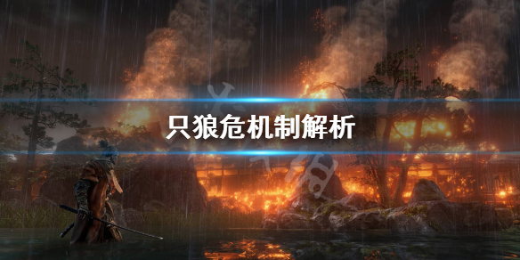 只狼危是什么意思 只狼是啥意思