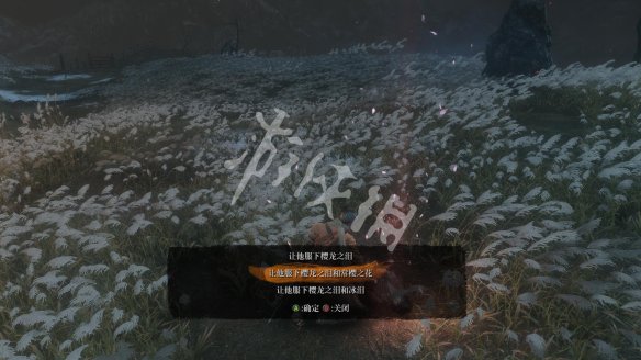 只狼影逝二度图文攻略 全BOSS打法+剧情流程+全义手技能_网