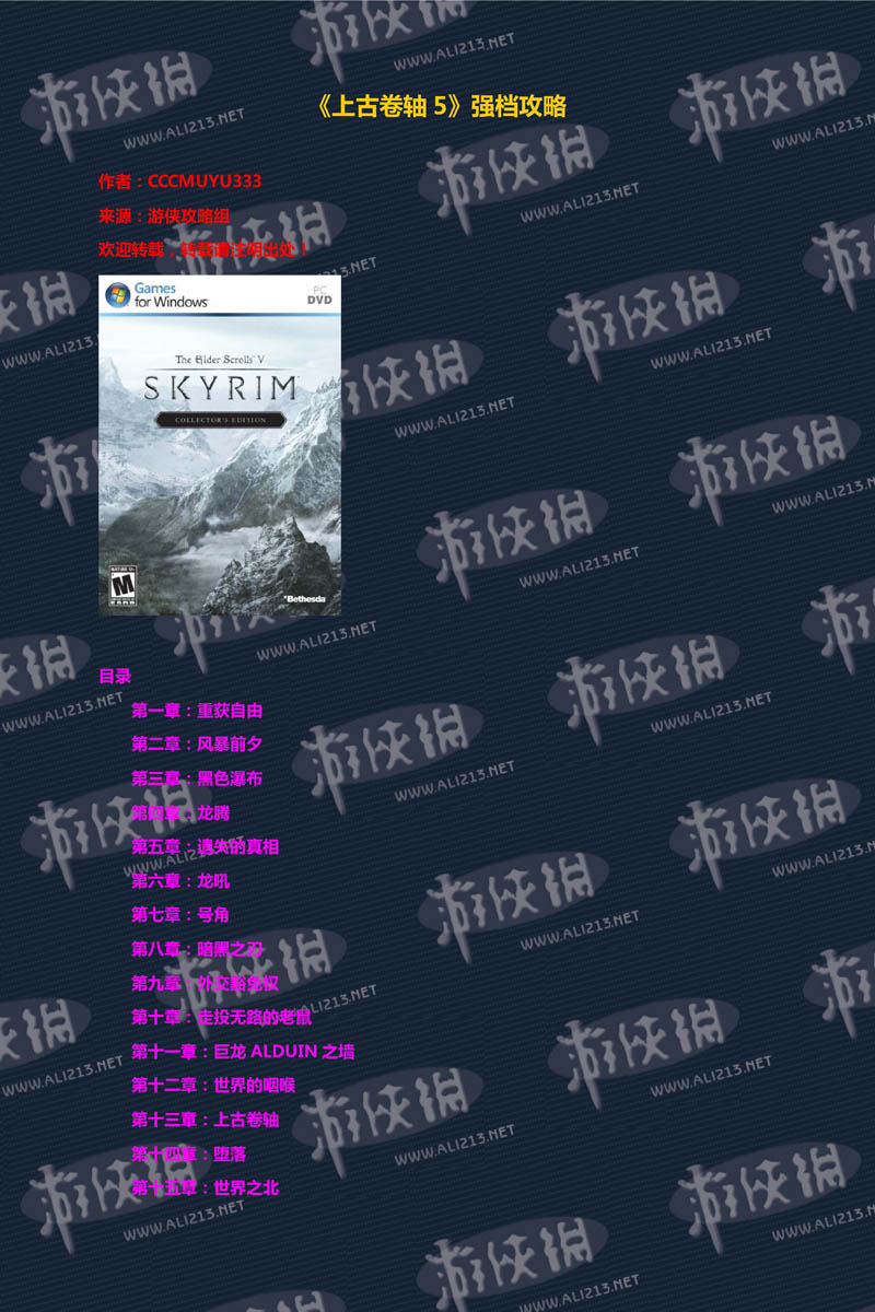 《上古卷轴5：天际》强档攻略（上古卷轴 5:天际）