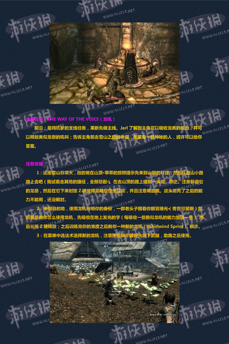 《上古卷轴5:天际》强档攻略