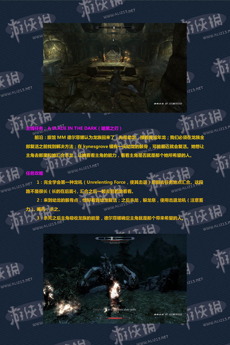 《上古卷轴5:天际》强档攻略