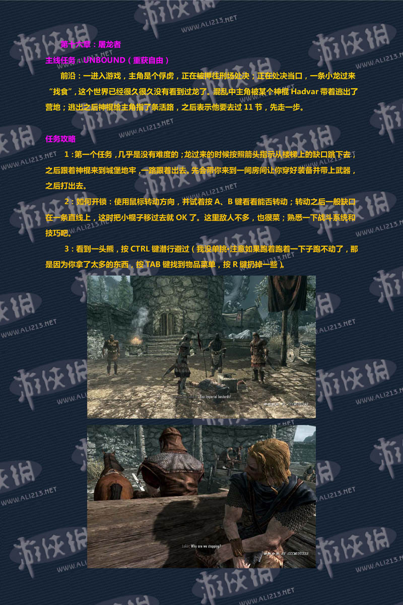 《上古卷轴5:天际》强档攻略