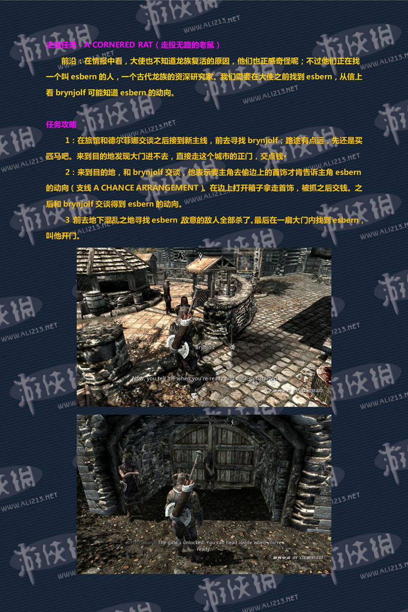 《上古卷轴5:天际》强档攻略