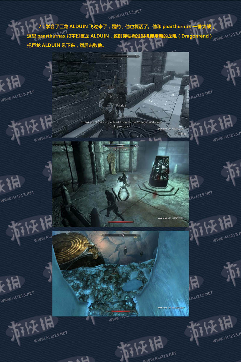 《上古卷轴5:天际》强档攻略