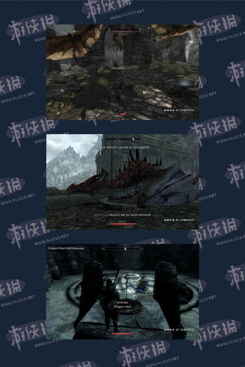 《上古卷轴5:天际》强档攻略