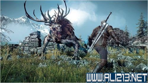 《巫师3：狂猎》图文流程攻略（巫师三狂猎图文攻略）