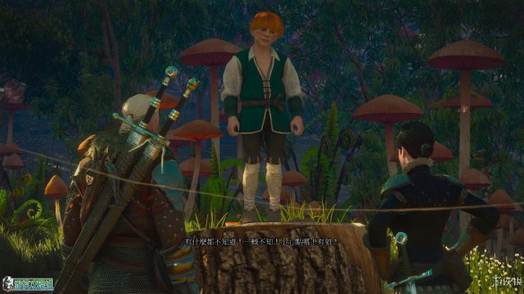 《巫师3：狂猎》图文攻略 主线任务+支线任务+狩猎任务+操作介绍+技能说明 操作介绍