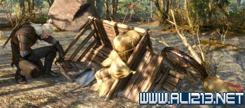 《巫师3：狂猎》明矾如何获得 巫师三明信片