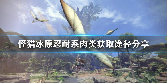 怪猎冰原忍耐系肉类怎么获得（怪物猎人世界冰原忍耐种子）