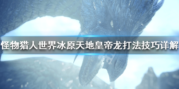 怪物猎人世界冰原天地皇帝龙怎么打（怪猎世界天地煌帝龙）