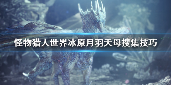 怪物猎人世界冰原月羽天母怎么抓（怪物猎人世界月羽天母概率）