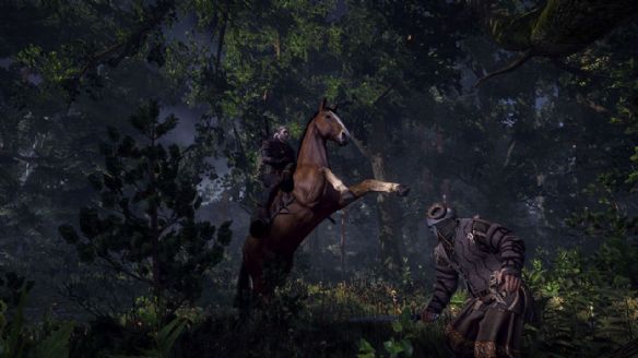 《巫师3：狂猎》支线任务过去的鬼魂雷索角色背景解析攻略
