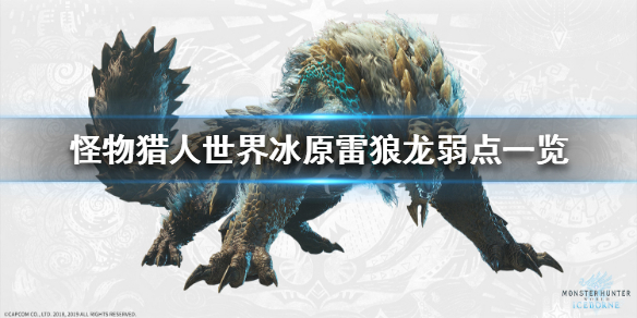 怪物猎人世界冰原雷狼龙弱什么属性 怪物猎人世界雷狼龙什么武器好